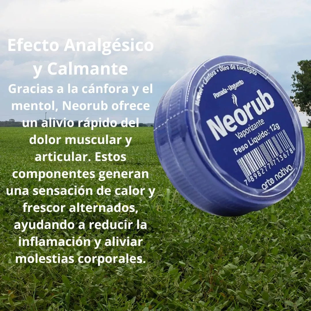Pomada Descongestionante Y AnaLGésica 12 G Alivio