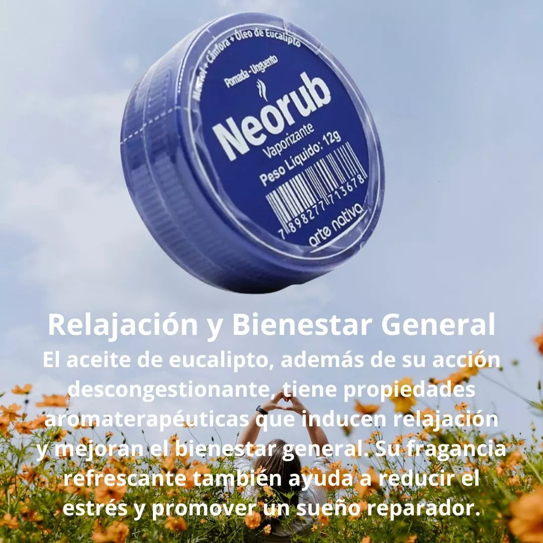 Pomada Descongestionante Y AnaLGésica 12 G Alivio