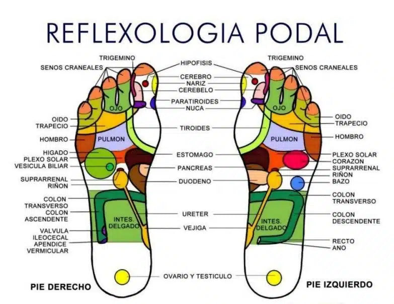 Rodillo Masajeador Para Fascitis Plantar Dolor Pies